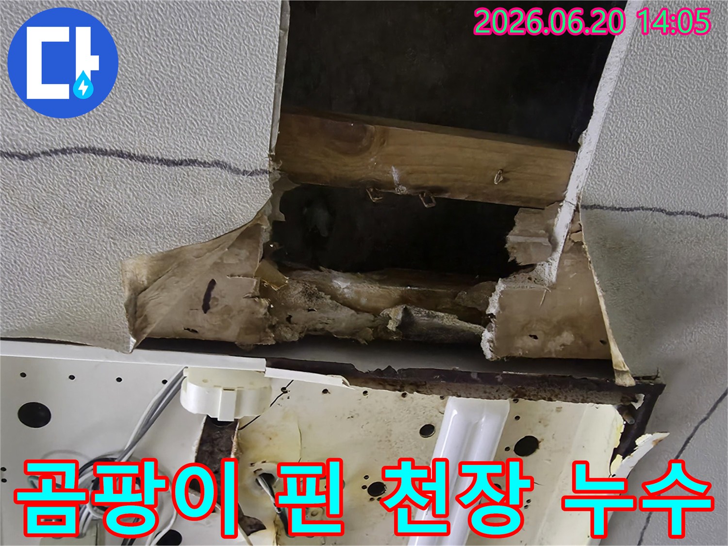 물에-젖어-곰팡이가-피어난-천장-누수-현장의-심각한-모습입니다