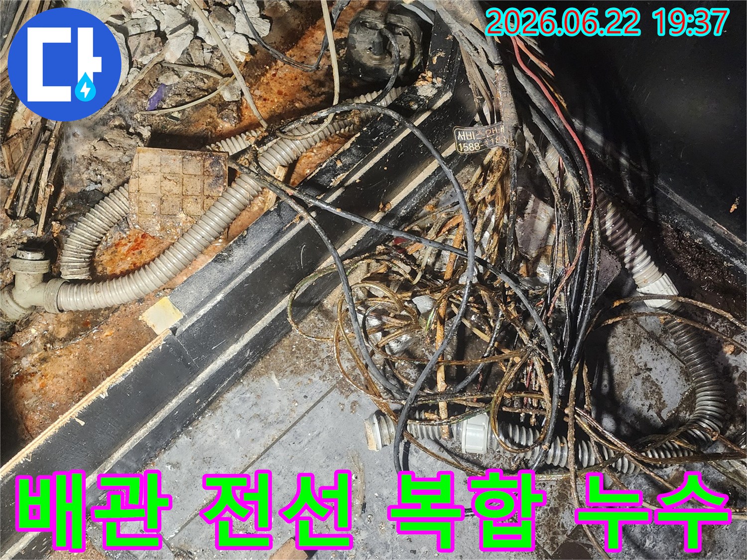 누수-엔지니어가-배관과-전선이-복잡하게-얽힌-누수-현장에서-물에-젖고-부식된-부분을-정밀하게-조사하고-있습니다
