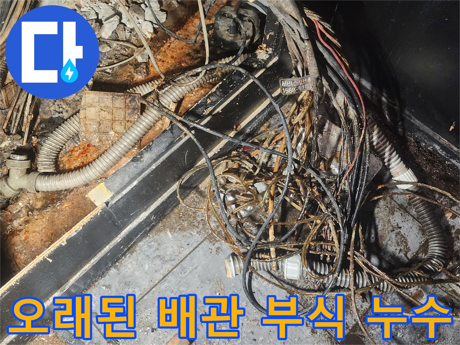 누수-엔지니어가-오래된-배관의-심각한-부식-상태와-주변-누수-흔적을-정밀하게-조사하며-원인을-파악하고-있습니다