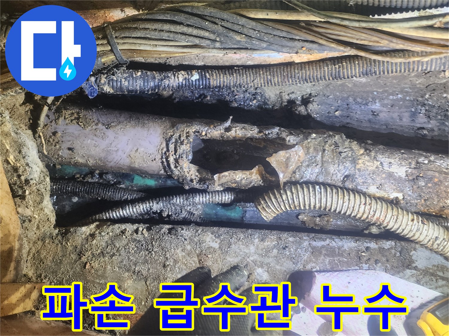 파손된-급수관에서-누수가-발생한-현장을-전문가가-정밀하게-점검하며-신속한-복구를-준비하는-모습