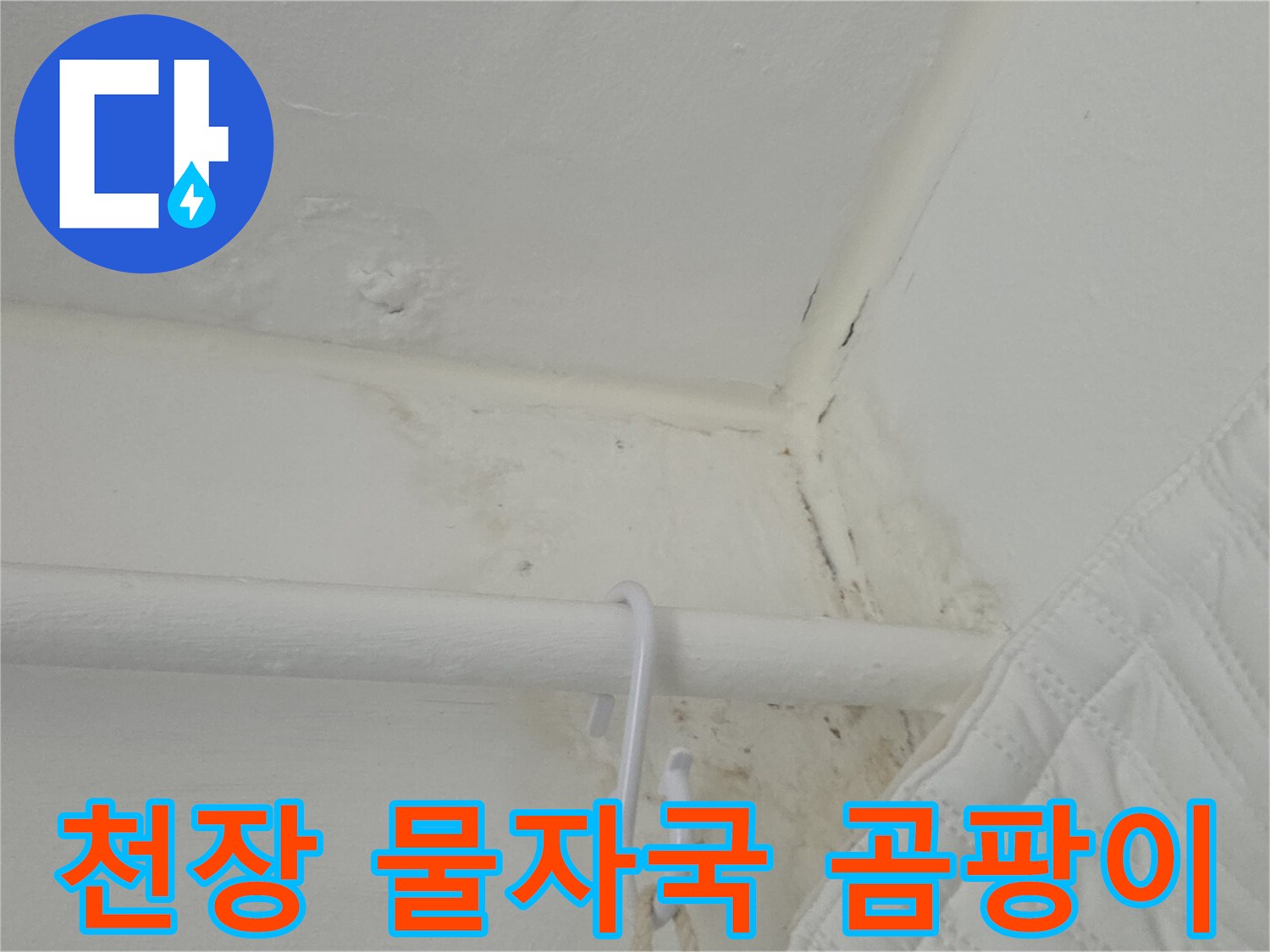 일산서구-주방-천장-물자국과-곰팡이 현상