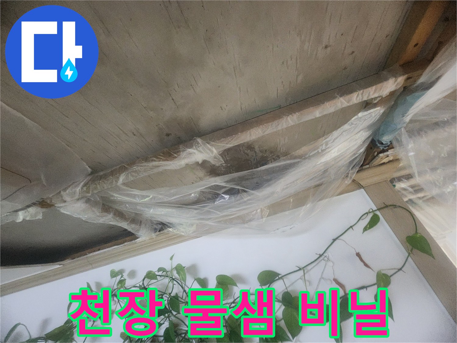 누수로 인해 천장에서 물이 떨어지는 상황을 임시로 막기 위해-비닐로 보양한 모습