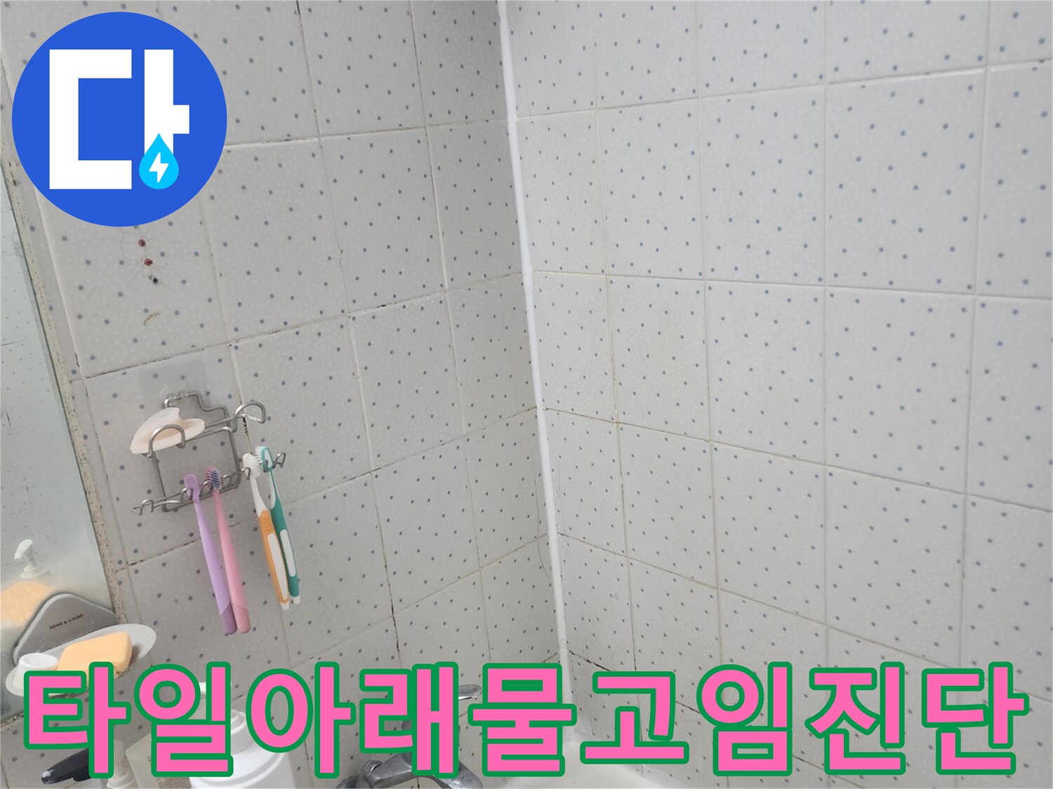 한신아파트-아랫집-누수-욕실-타일-아래-물-고임-현상-진단-모습
