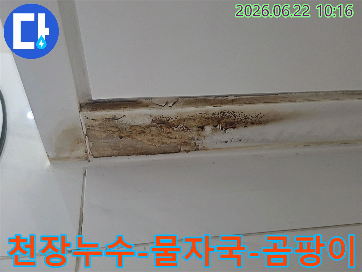 천장 모서리에 발생한 심각한 물자국과-곰팡이-벽지 손상으로-누수-문제가-확인된-모습