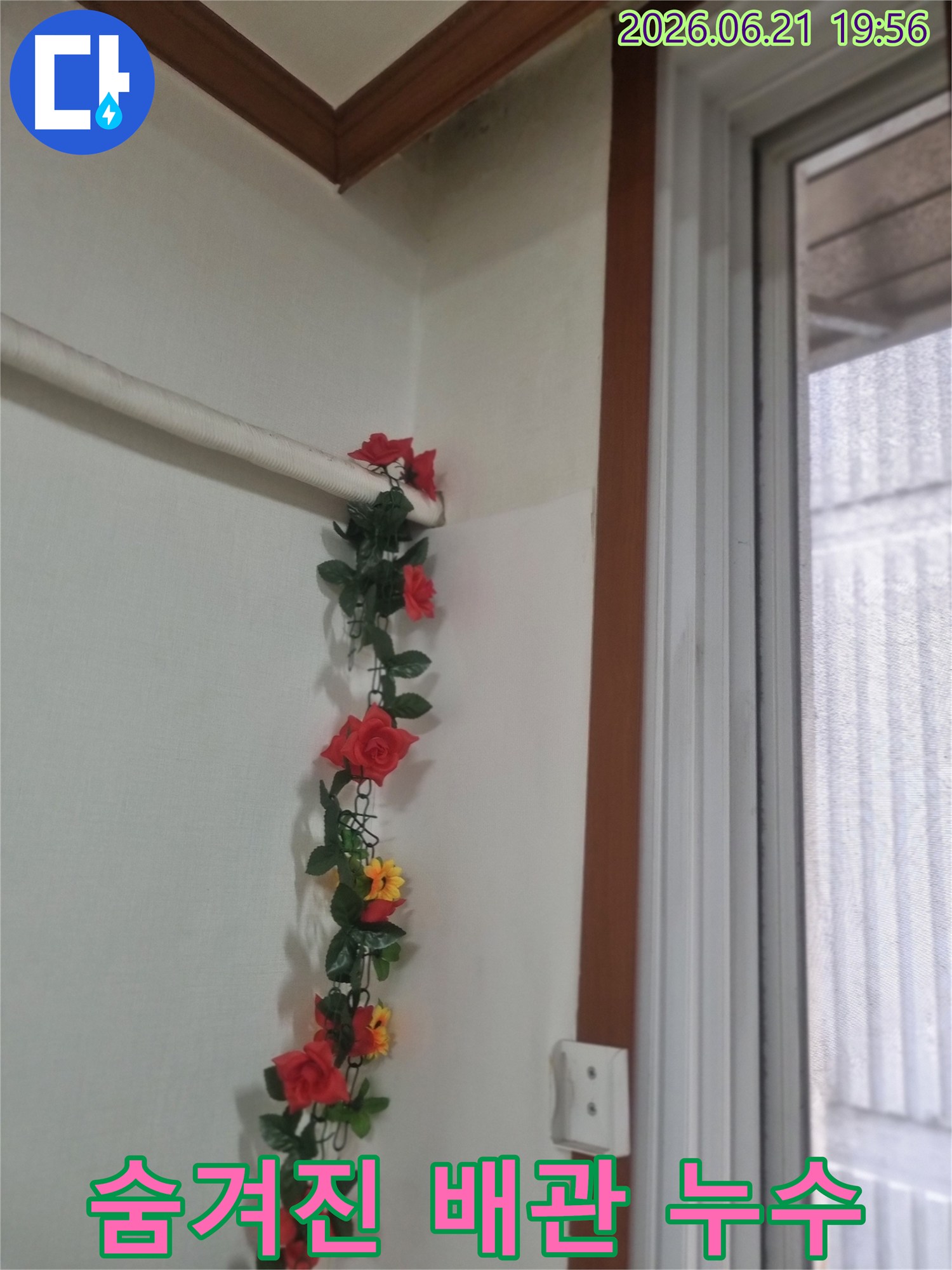 장식용-덩굴에-가려져-있던-배관 주변의-벽면이-누수로-인해-젖고-변색된-상태입니다-조기-발견이-어려워-피해가-진행되었을-가능성이-있습니다