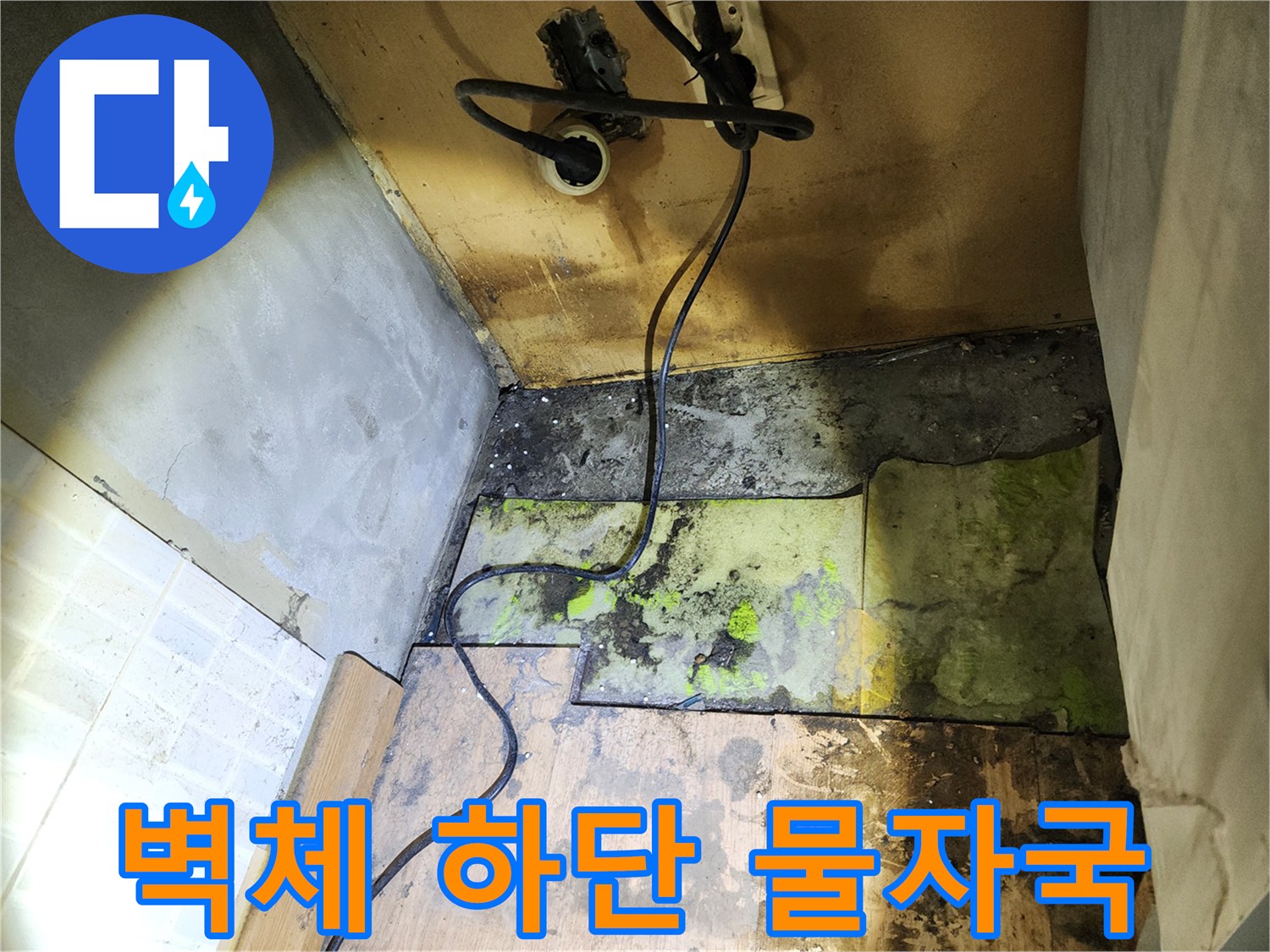 누수로 인해 변색된-콘크리트 벽면과 곰팡이 부위