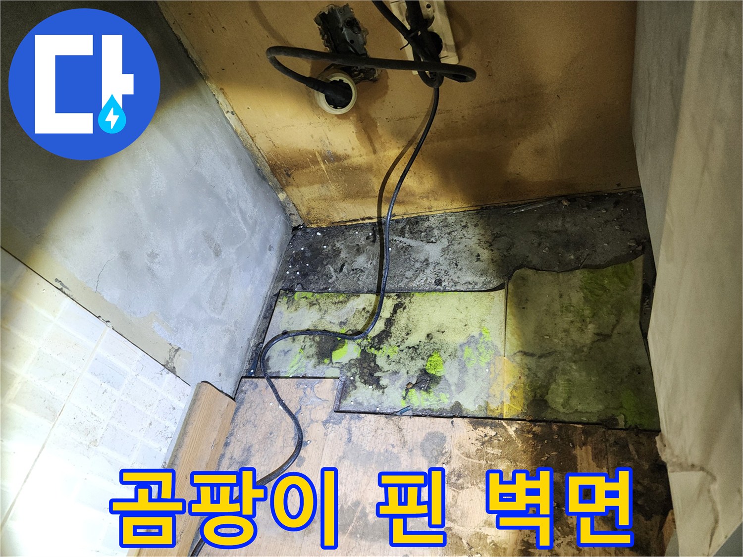 송파구 현장 기록-물샘으로 인한 벽면 하단부의 곰팡이 오염