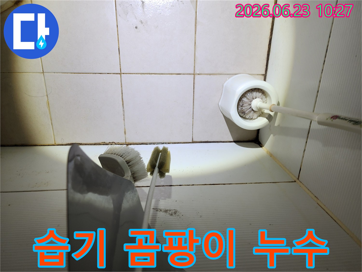 이 이미지는-습기가 많은 욕실 바닥의-타일 줄눈에-생긴 검은 곰팡이와-오염된 청소용품-주변을-보여줍니다.