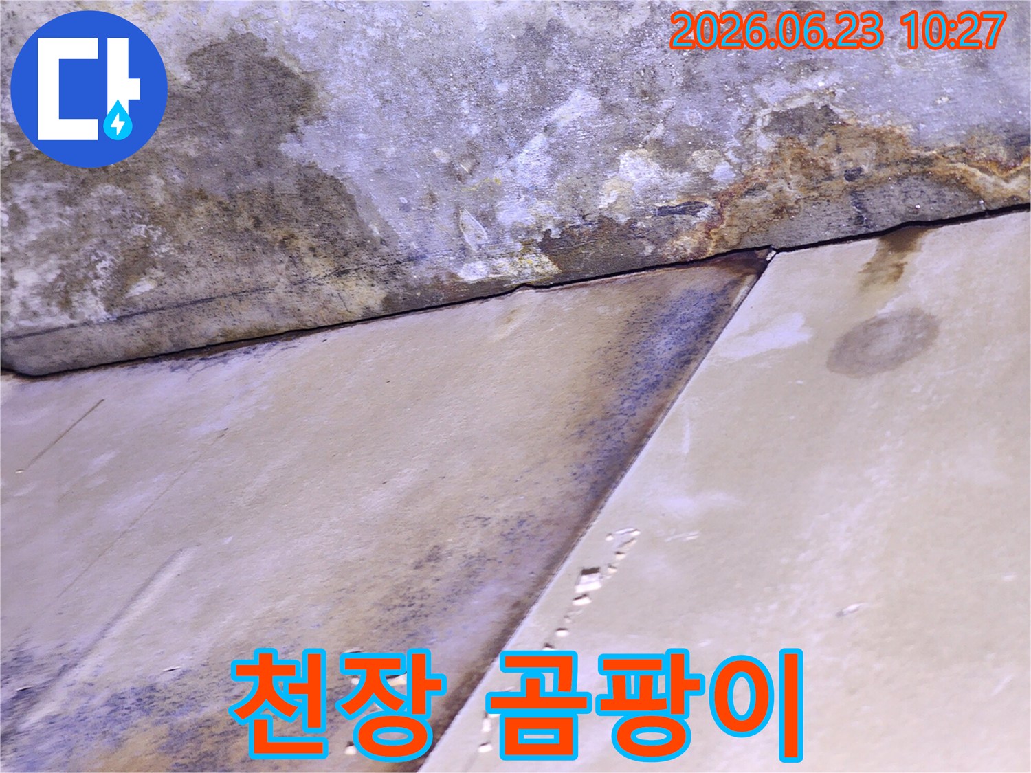 천장 마감재가 물에 젖어 변색되고 곰팡이가 발생한-누수 피해 현장 사진