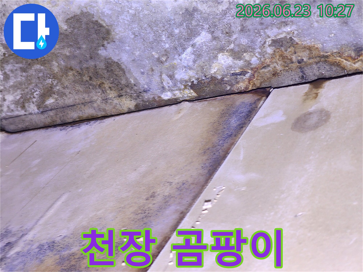 천장 마감재가 물에 젖어 변색되고 곰팡이가 발생한-누수 피해 현장 사진