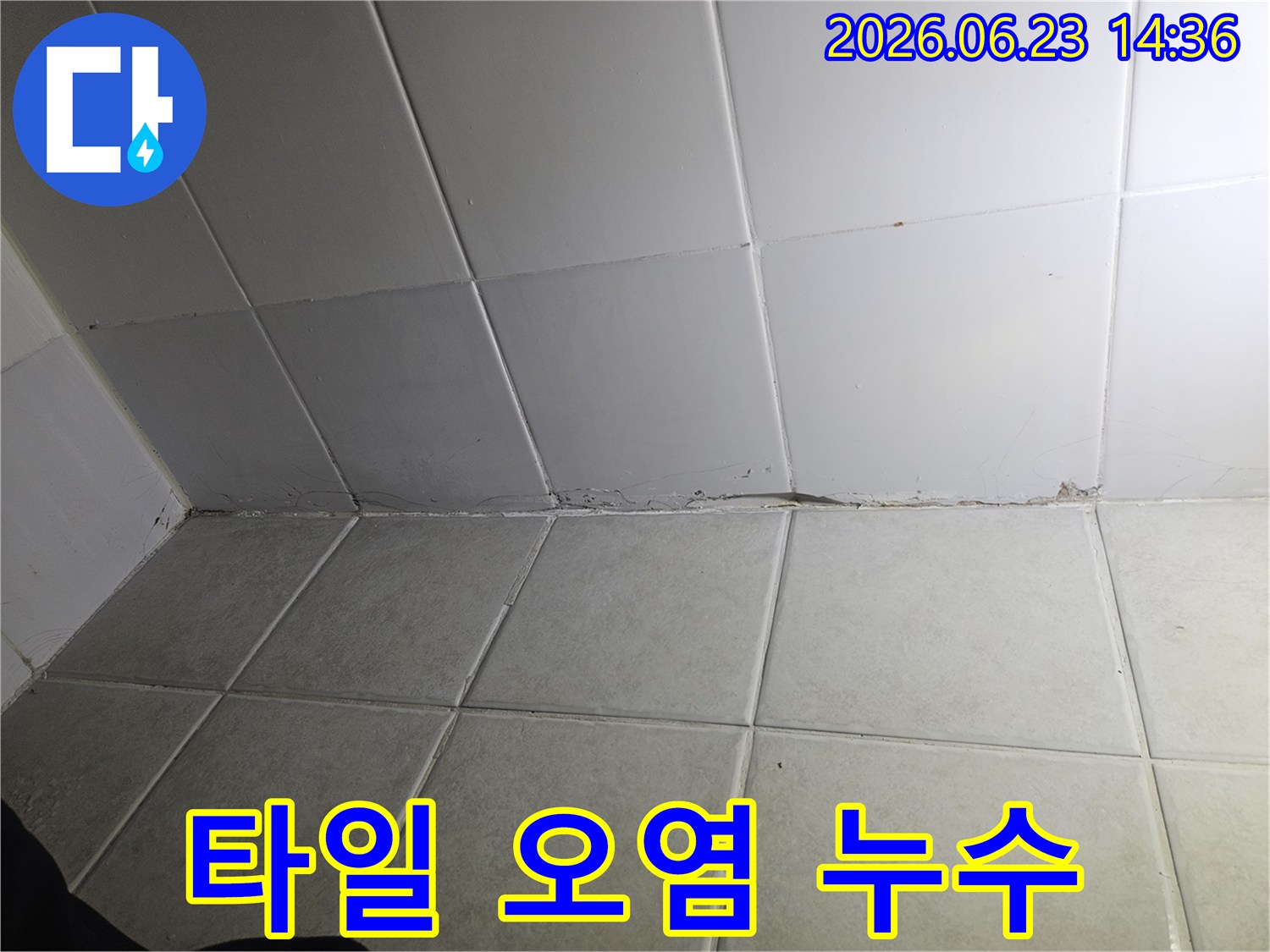 타일-벽과-바닥의-경계면에서-발견된-오염과-곰팡이는-지속적인-누수로-인한-습기-축적의-결과입니다-이는-건물의-구조적-손상으로-이어질-수-있습니다.