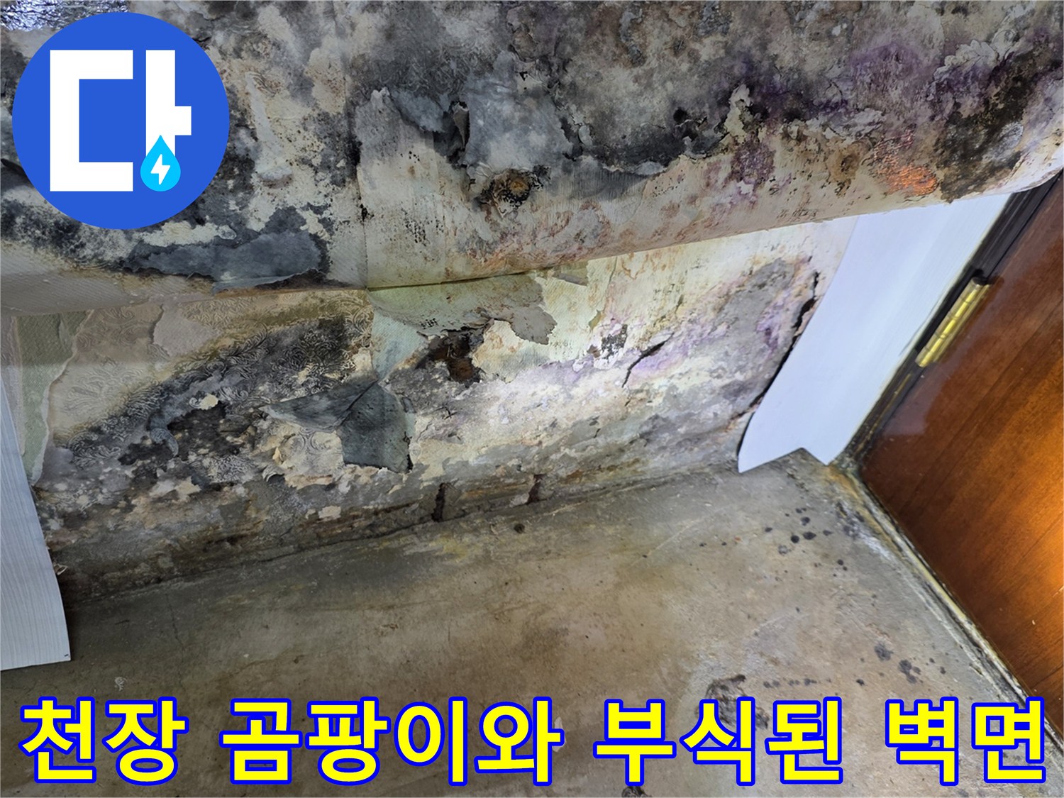 강서구 가양동 현장의-심각한 천장 변색과 벽면 곰팡이 상태