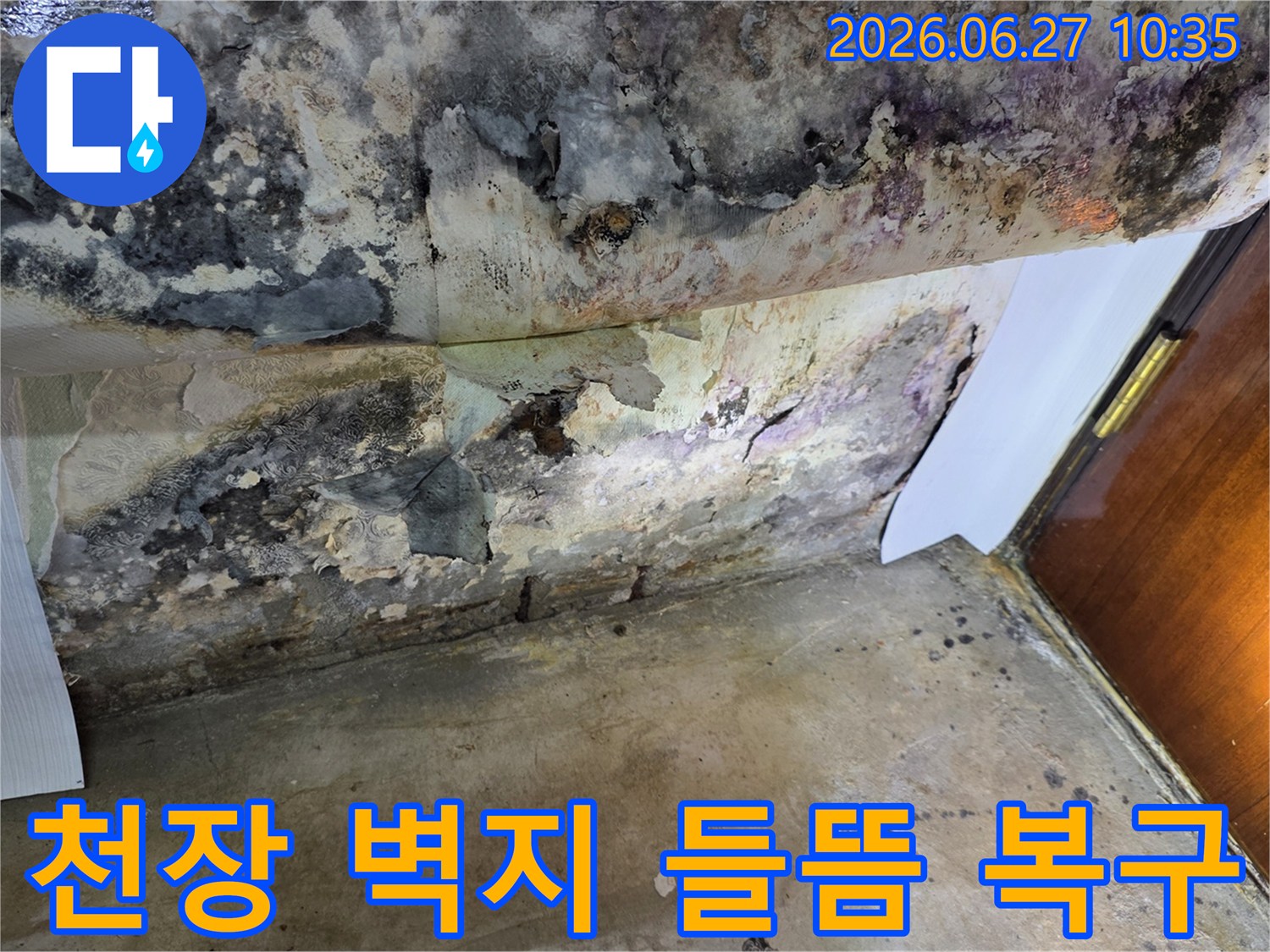 누수로 인해 천장 벽지가 심하게 벗겨지고-검은 곰팡이가 광범위하게 퍼져있는 모습입니다