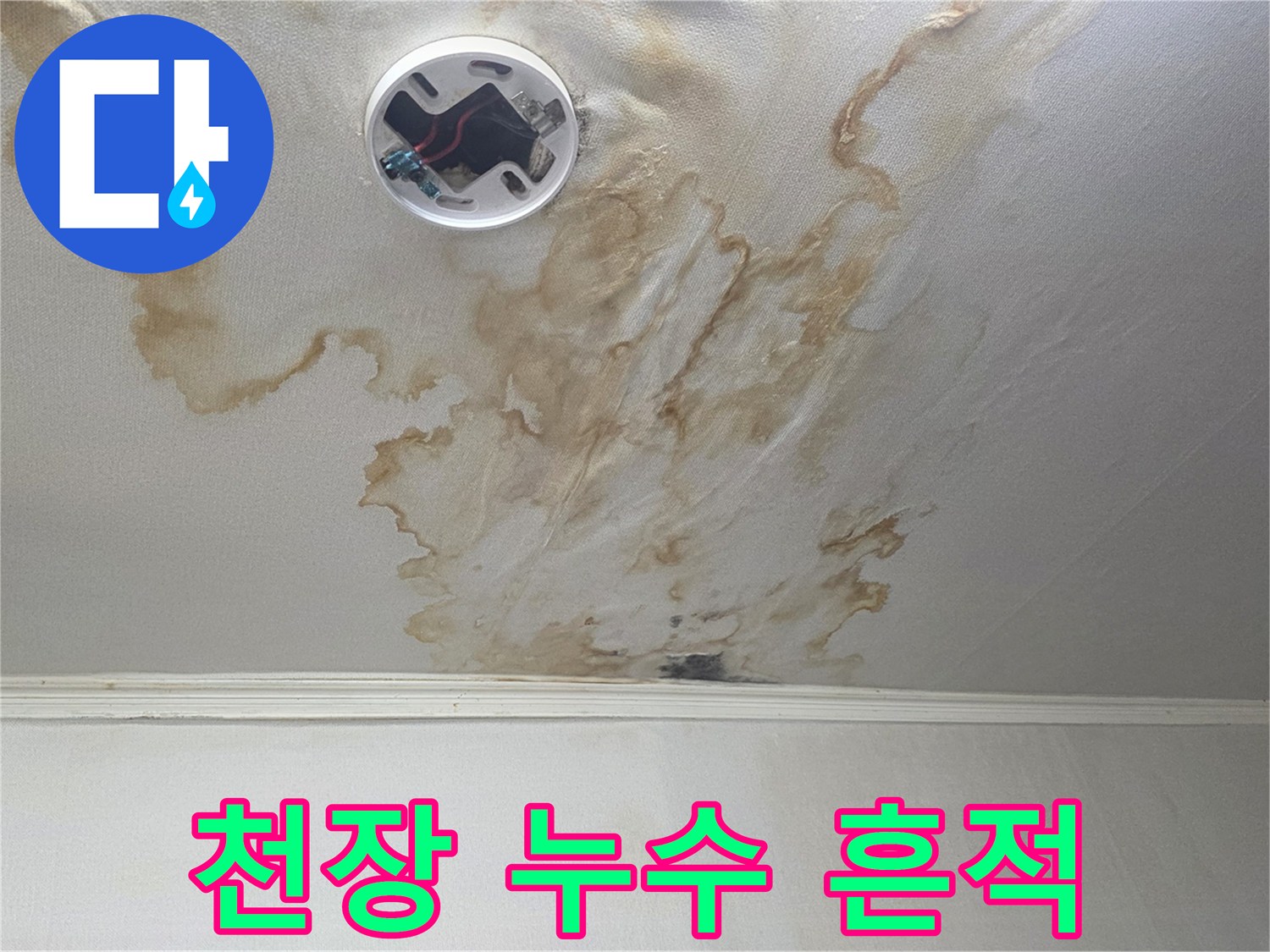 아랫집 거실-매립등 주변에 발생한 곰팡이와 습기 자국
