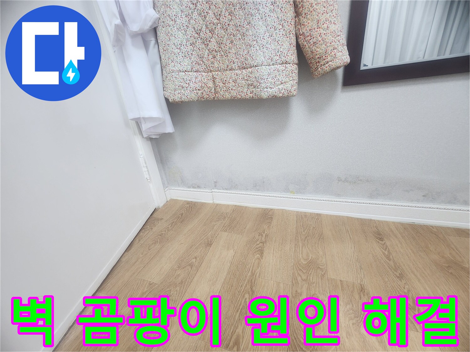 벽 하단에 발생한 곰팡이와-습기 자국은-누수로 인한 것임을 보여주며-정확한 원인 파악과-해결이 시급합니다.