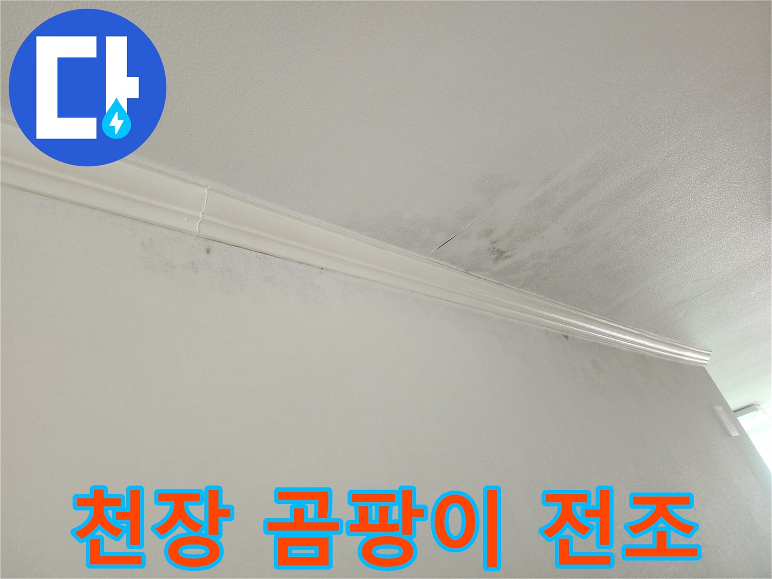 아파트 천장-벽면 접합부-누수로 인한-습기 흔적-곰팡이 발생-우려 지점