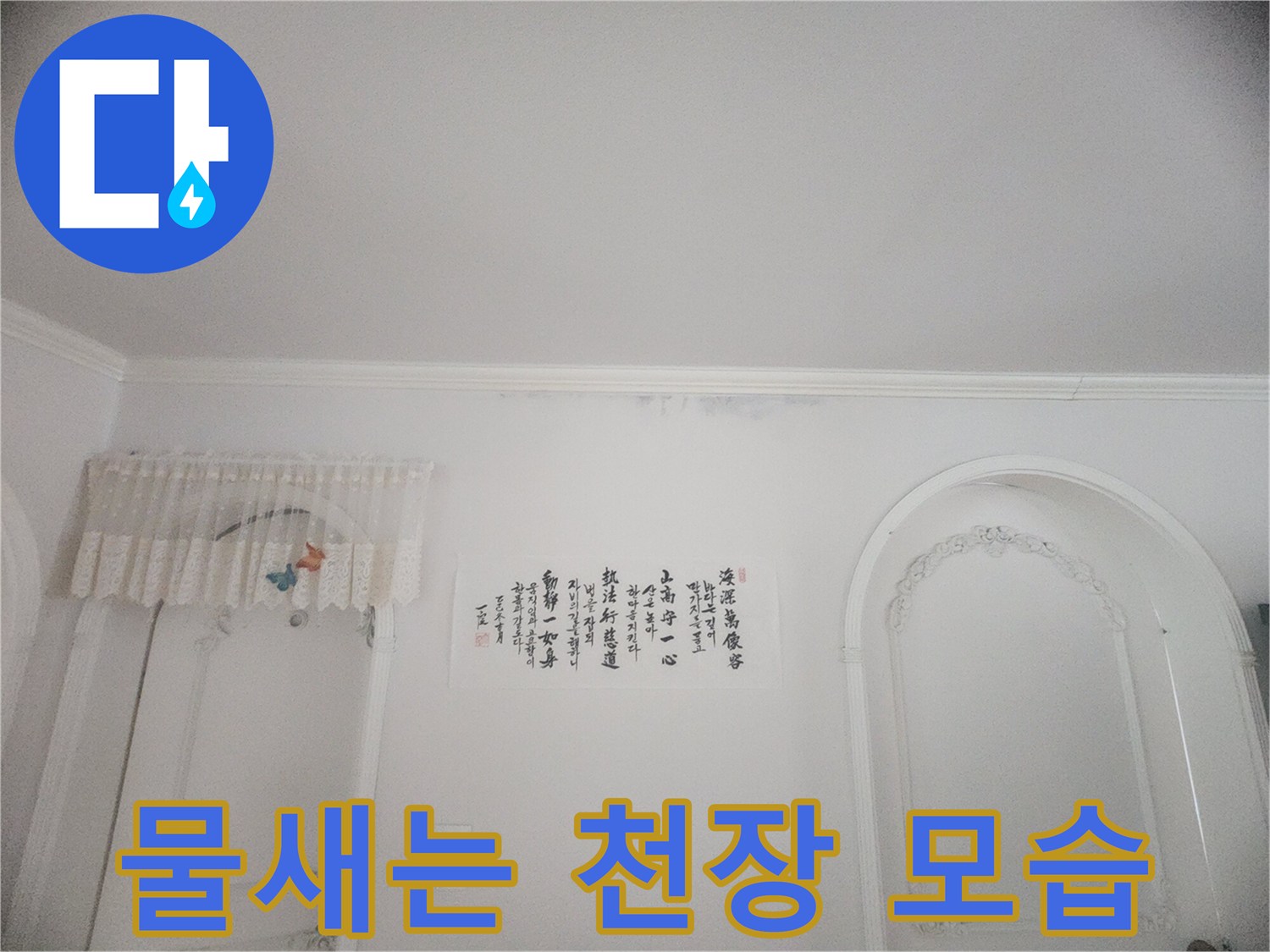 화장실 입구 벽면에 생긴 물얼룩과 곰팡이-정확한 누수 원인 파악이 시급한 현장