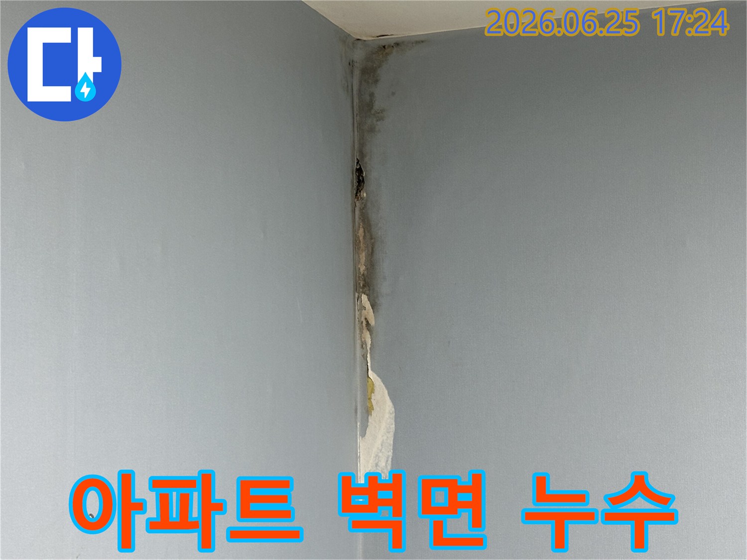 아파트-벽면-코너에서-발생한-누수로-인해-벽지가-젖어-들뜨고-심한-곰팡이가-피어난-손상-상태를-보여주는-사진입니다