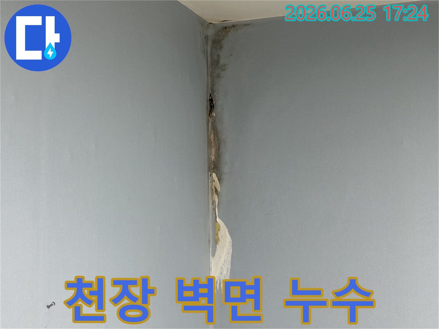 아파트-천장과-벽면-코너에서-발생한-누수로-인해-벽지가-젖고-심한-곰팡이가-피어난-손상-현장을-보여주는-사진입니다