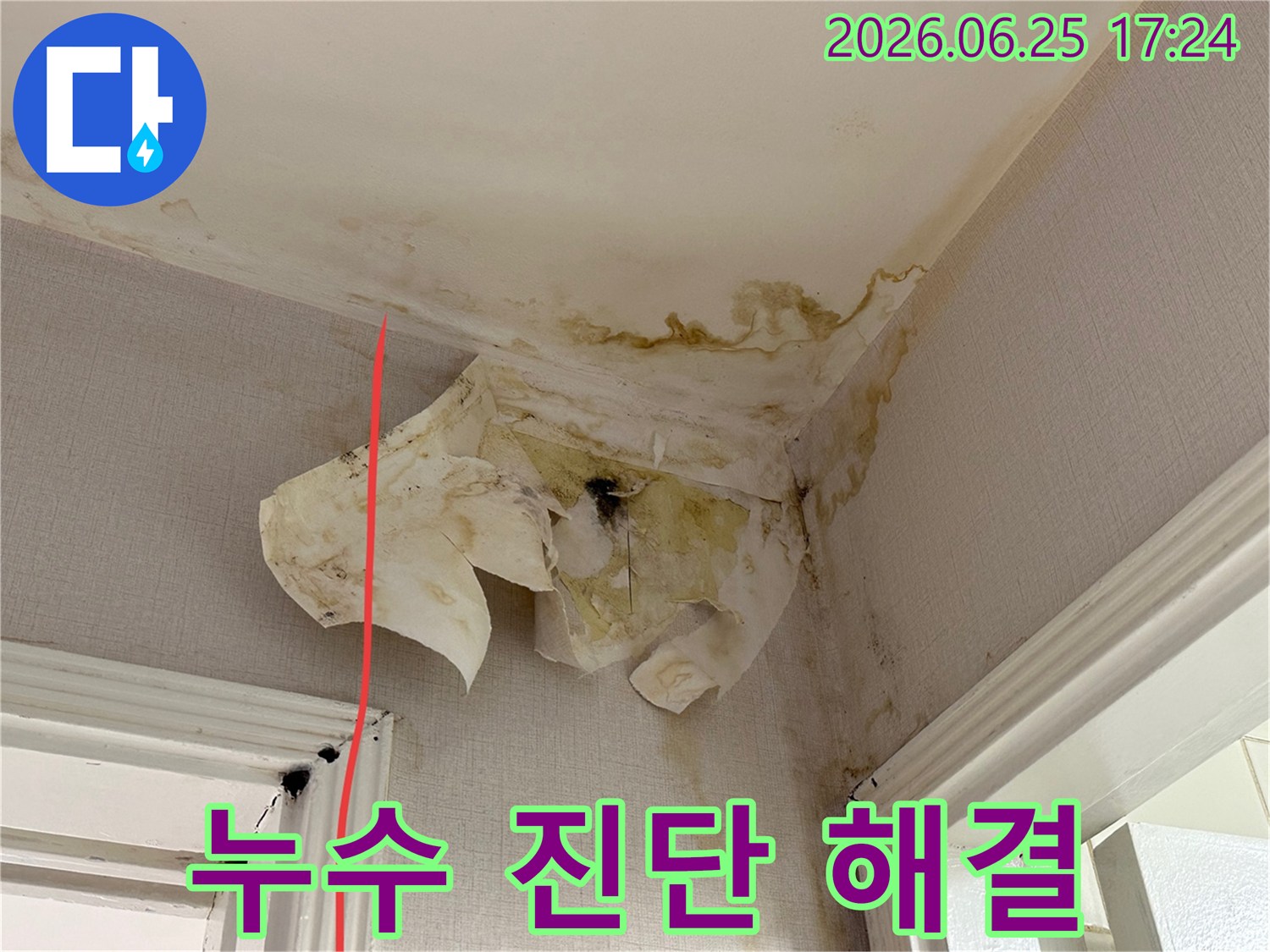 이 사진은 천장과 벽면에서 발생한 심각한 누수-벽지 들뜸-그리고 곰팡이 피해를 보여줍니다.