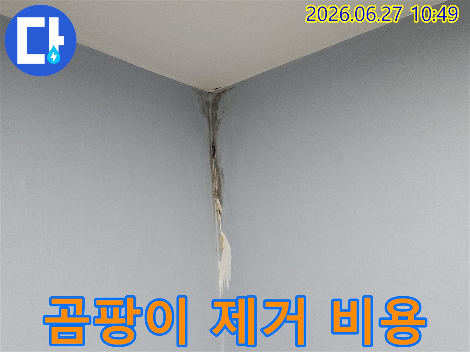 천장과 벽의 모서리 부근에 누수로 인해 벽지가 심하게 들뜨고 곰팡이가 번져있어-누수 및 곰팡이 제거 비용 상담이 필요한 현장 사진입니다.