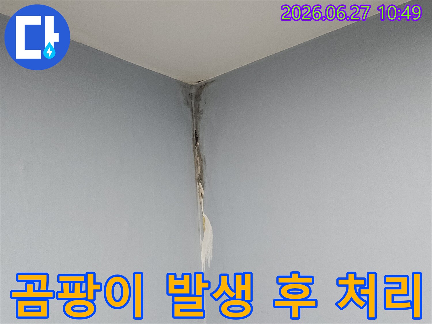 천장과 벽의 모서리 부근에 누수로 인해 벽지가 심하게 들뜨고 곰팡이가 번져있어-누수 발생 후 전문적인 처리 과정이 필요한 현장 사진입니다.