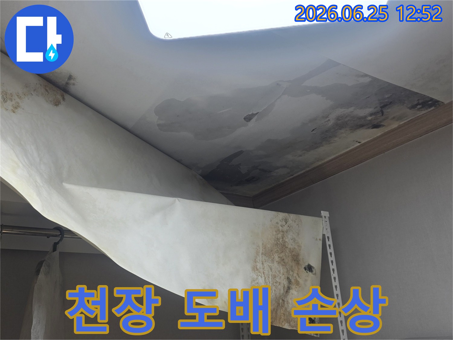 물에 젖어 축 처지고-곰팡이가 번식한-천장 벽지의-심각한 피해 현장입니다
