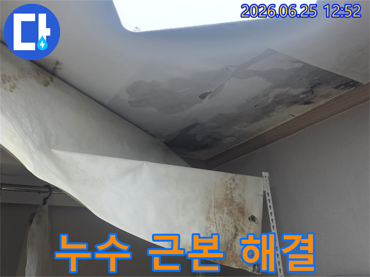 천장 누수로 인한-물자국과 곰팡이를-근본적으로 해결하기 위해-전문가가 현장을 진단 중입니다