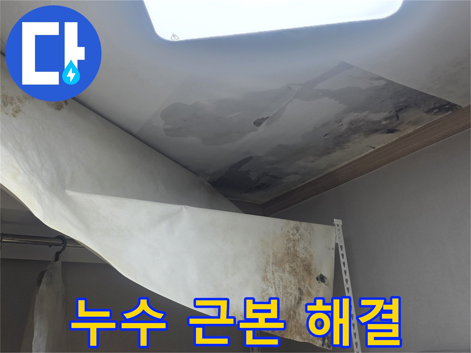 천장 누수로 인한-물자국과 곰팡이를-근본적으로 해결하기 위해-전문가가 현장을 진단 중입니다