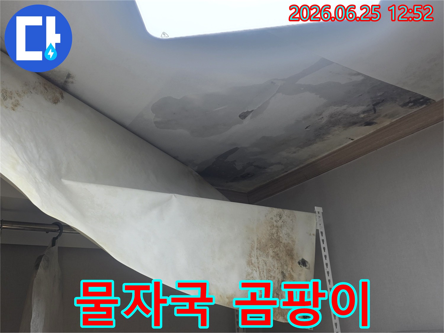 천장 벽지가 젖어-떨어져 내리고-검은 곰팡이가 피어난-심각한 누수 현장입니다