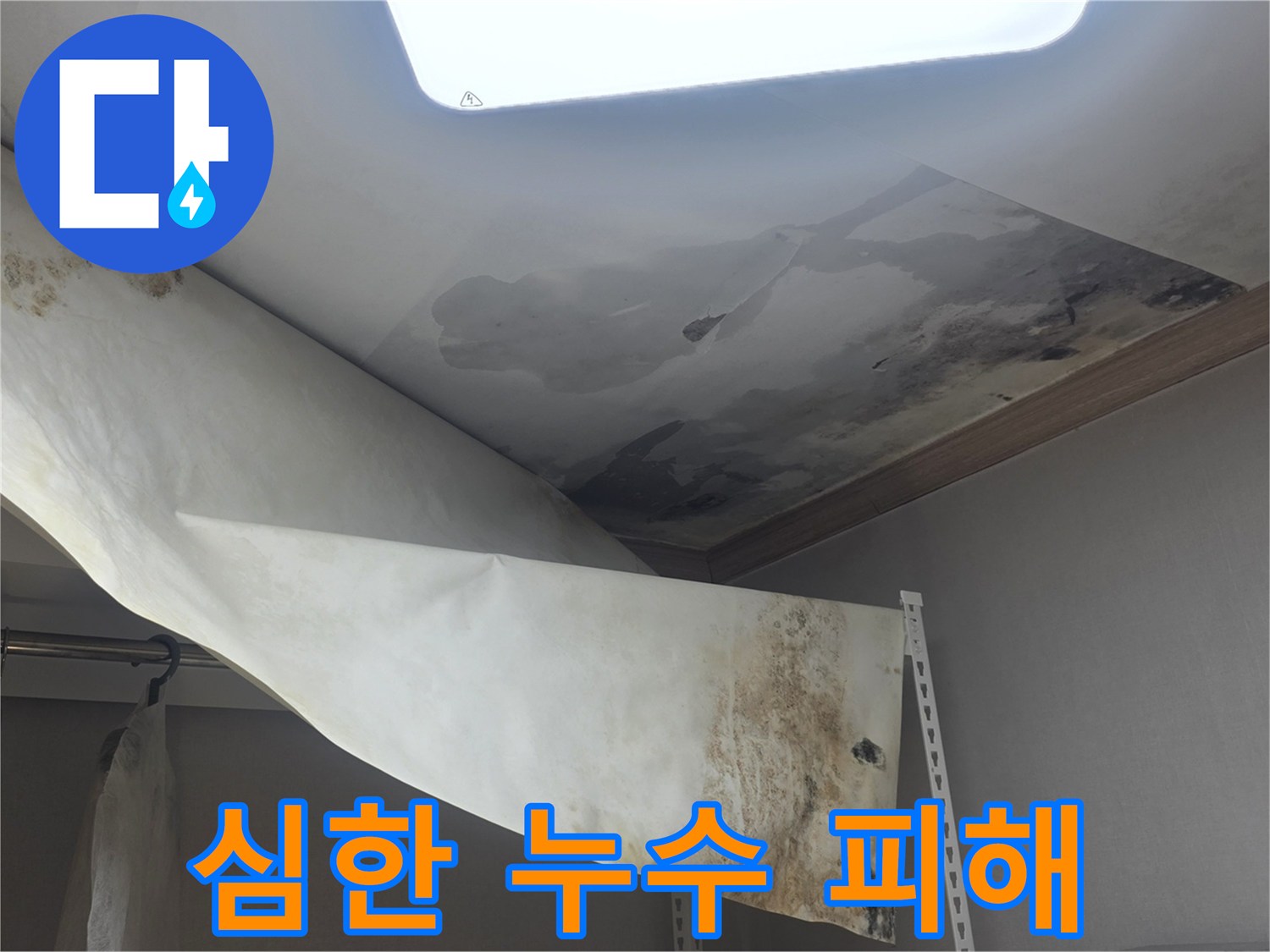 천장에서 물이 새서-벽지가 떨어지고-검은 곰팡이가 가득한-심각한 누수 현장입니다