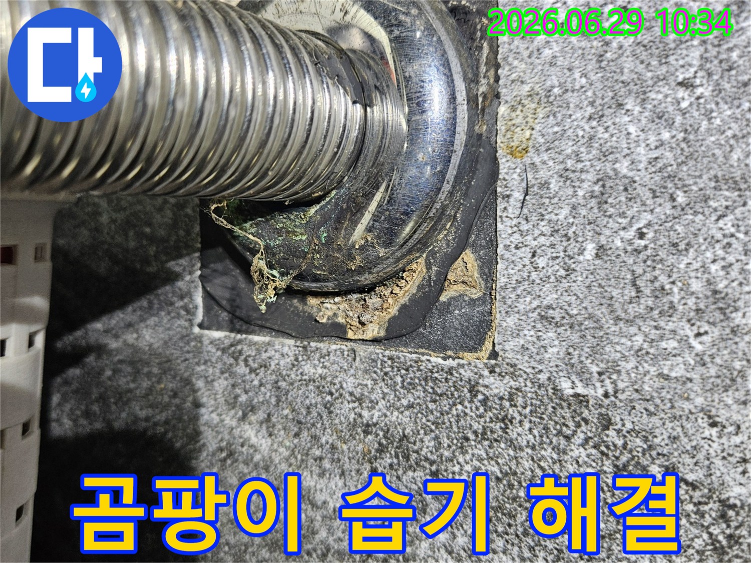 중계동-아파트-누수-현장에서-발견된-배관-주변의-곰팡이와-습기-문제-해결-전-사진