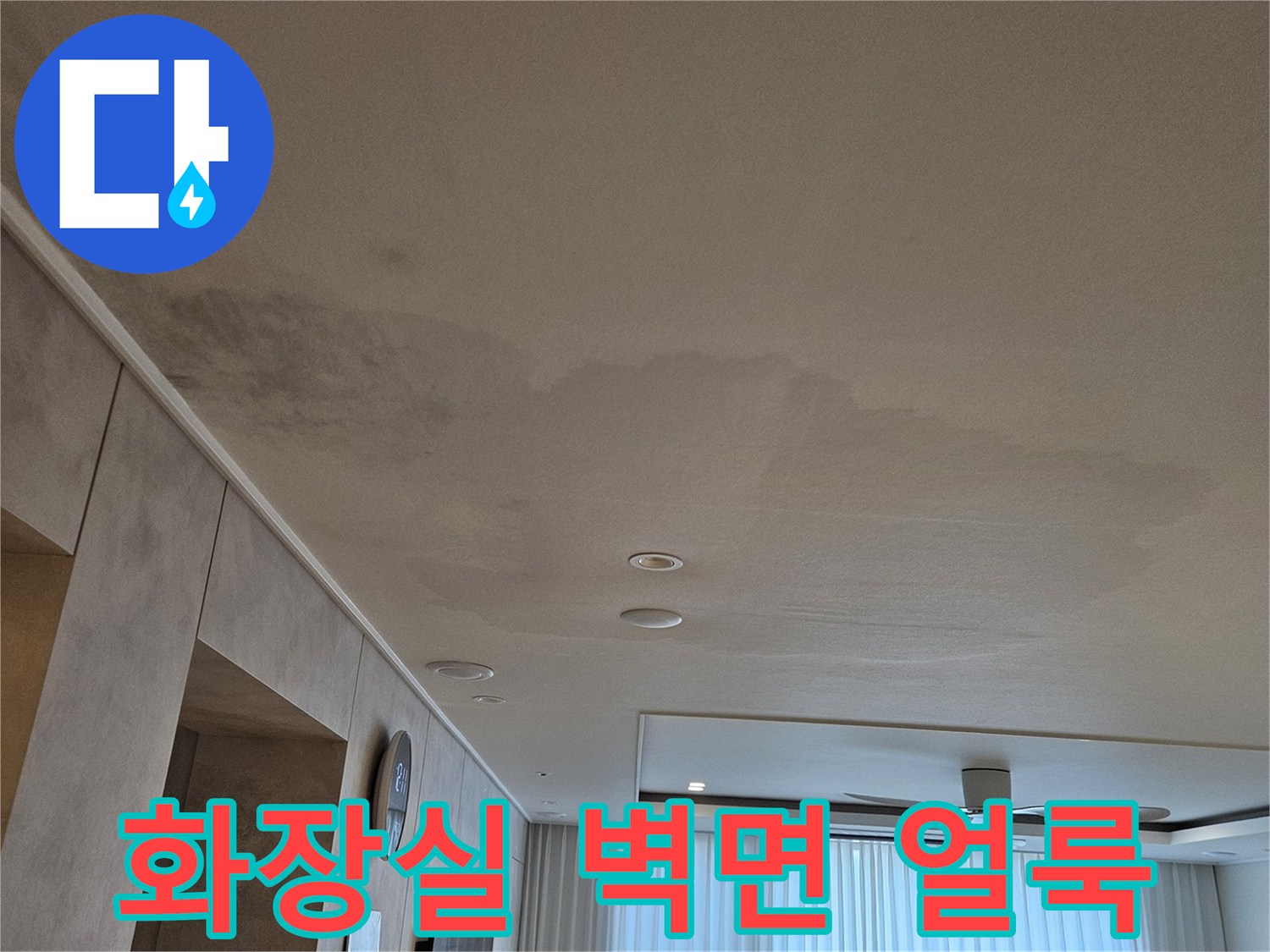 울산 중구 화장실 벽면에 발생한 커다란 물자국과 습기 흔적
