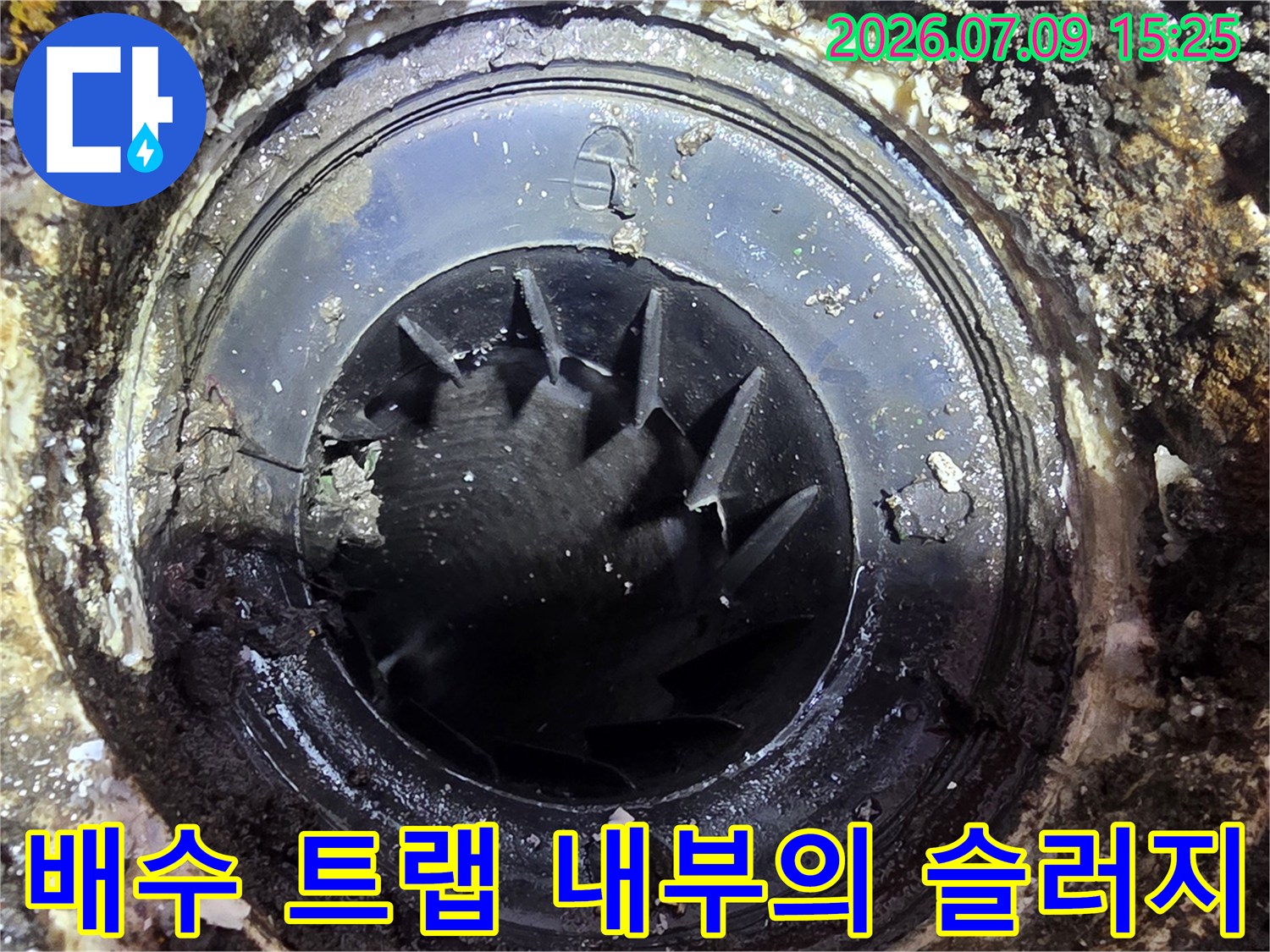 세탁실 하수구 트랩 내부에 쌓인 오염물과 찌꺼기들입니다.