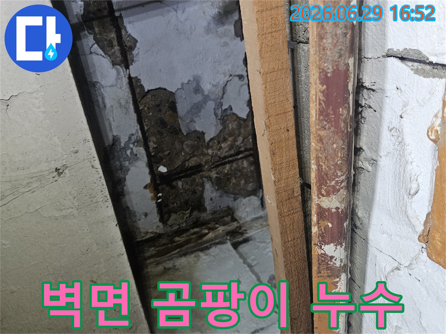 물이 새어 벽면에 심한 곰팡이가 발생하고-페인트가 벗겨진 건강에 해로운 현장