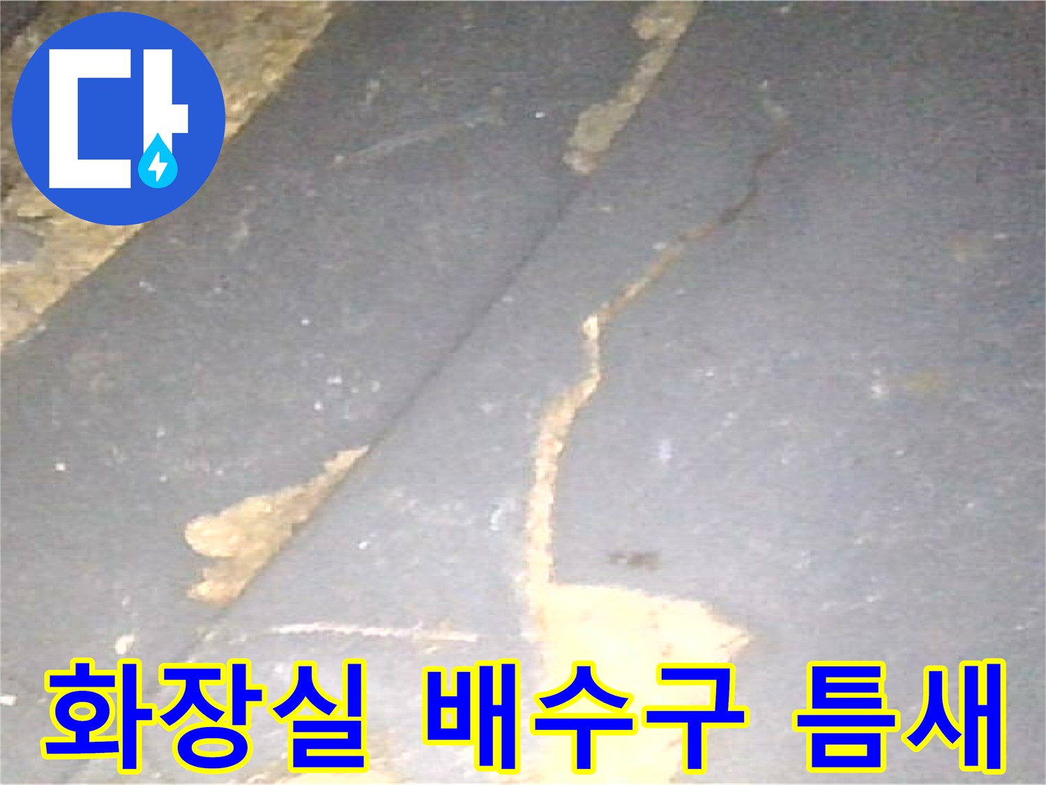 화장실-배수구-주변-방수층-파손-부위