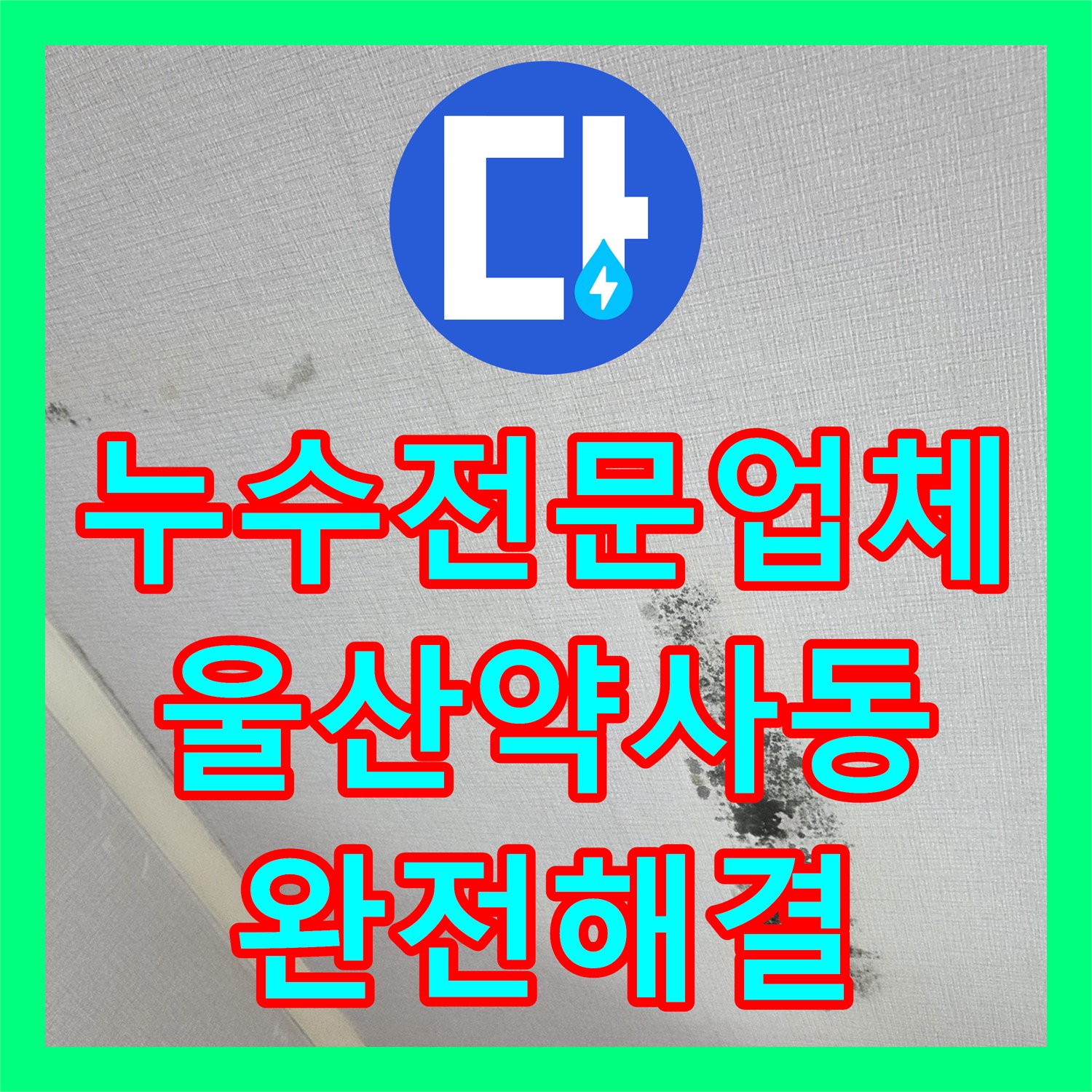 누수전문업체 도배 후 다시 시작된 안방 천장 물샘의 정체를 밝힌 울산광역시 중구 약사동