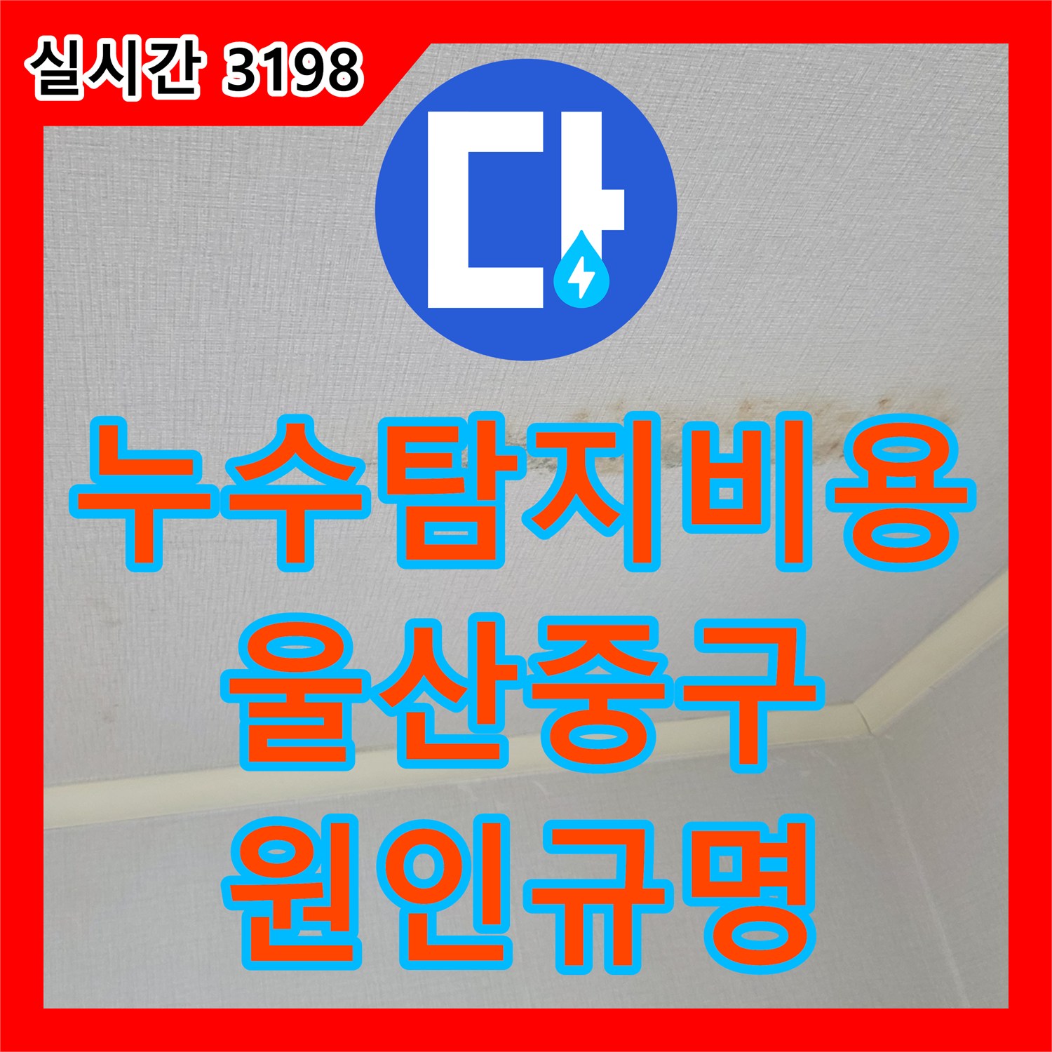 누수탐지비용 보다 정확한 진단이 우선인 아랫집 안방 천장 누수 정밀 점검 울산광역시 중구 약사동