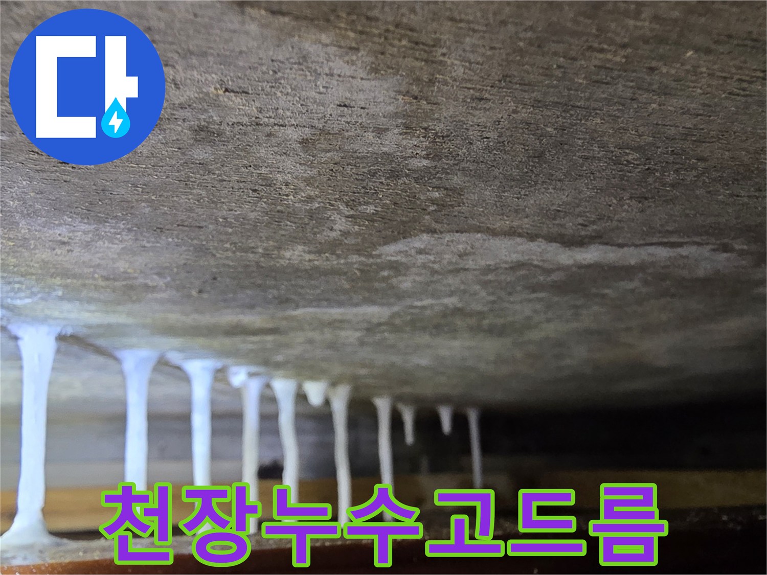 천장-콘크리트-층에서-맺혀있는-석회물-덩어리