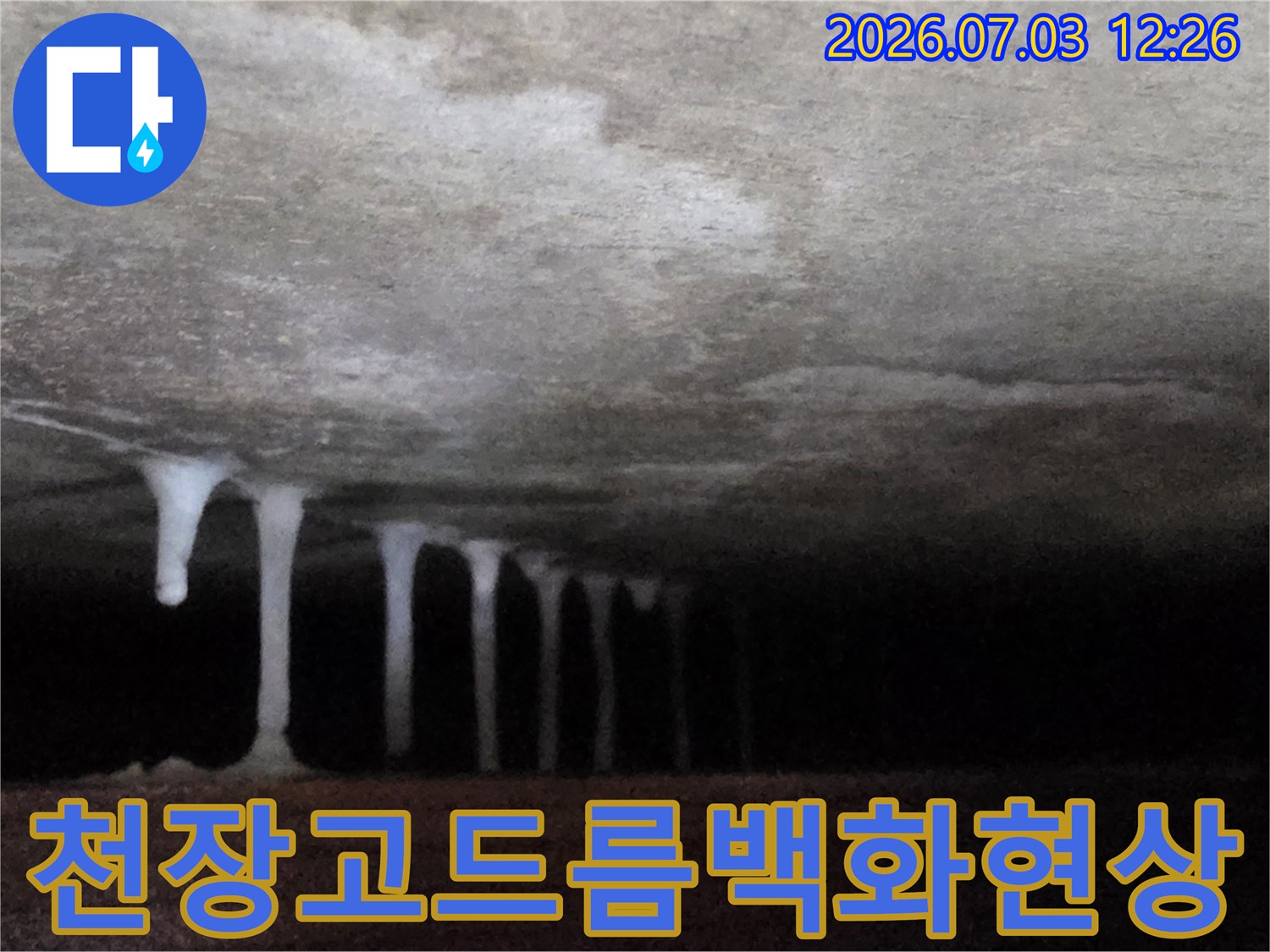 천장콘크리트에서 고드름 형태로 흘러내린 백화 현상 사진