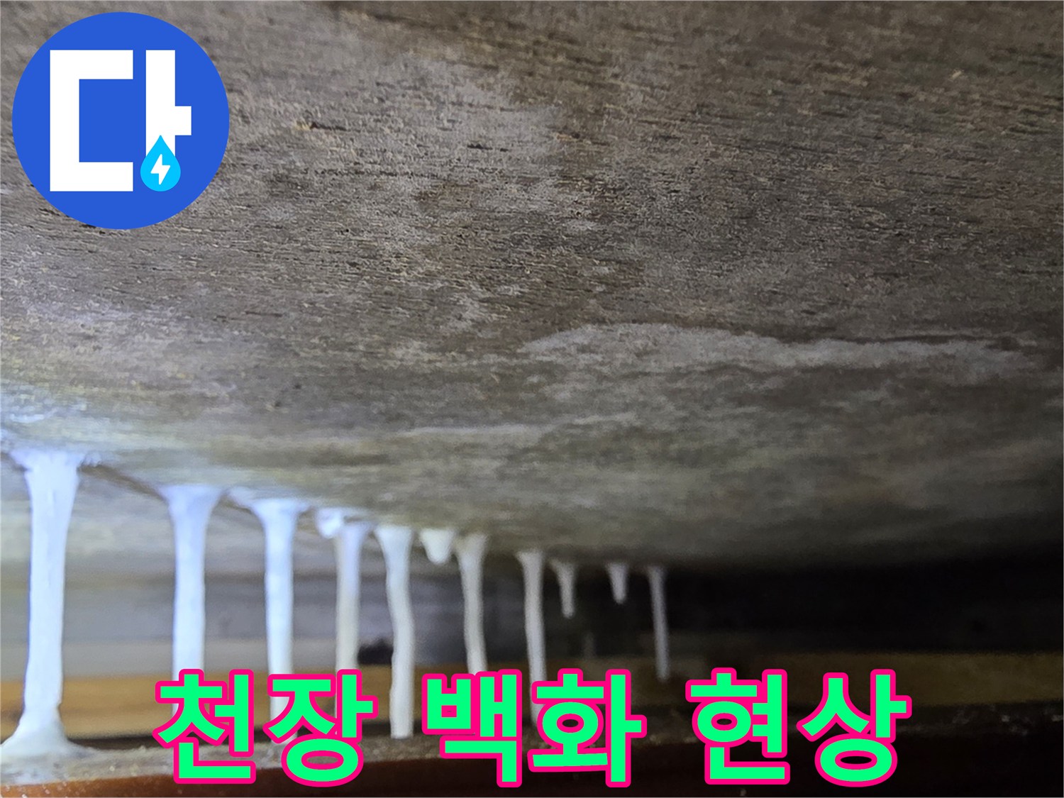 하얗게 굳은 석회물-천장 아래로 길게 늘어진 백화 현상