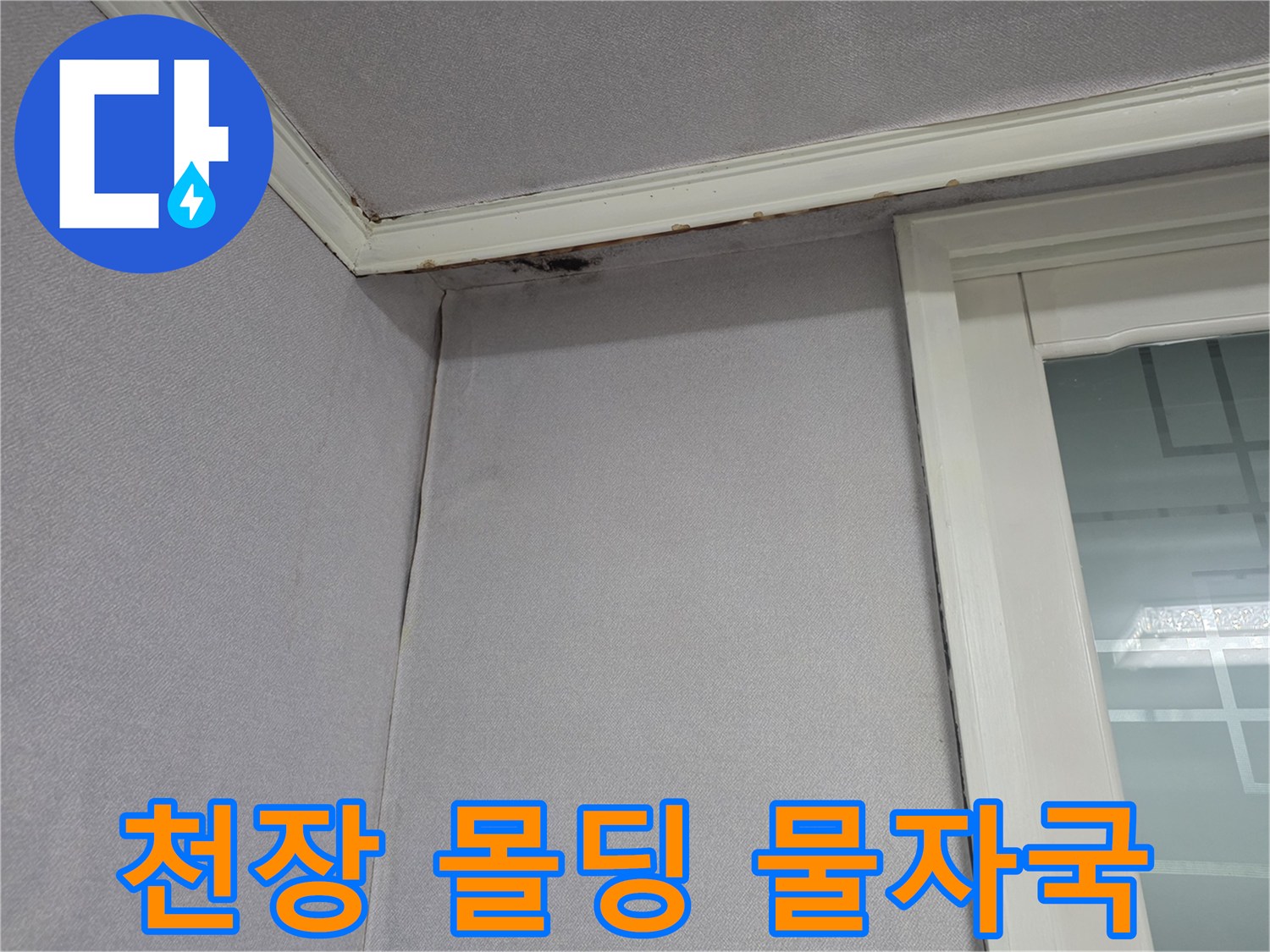 벽지와 천장 경계면의 어두운 습기 얼룩