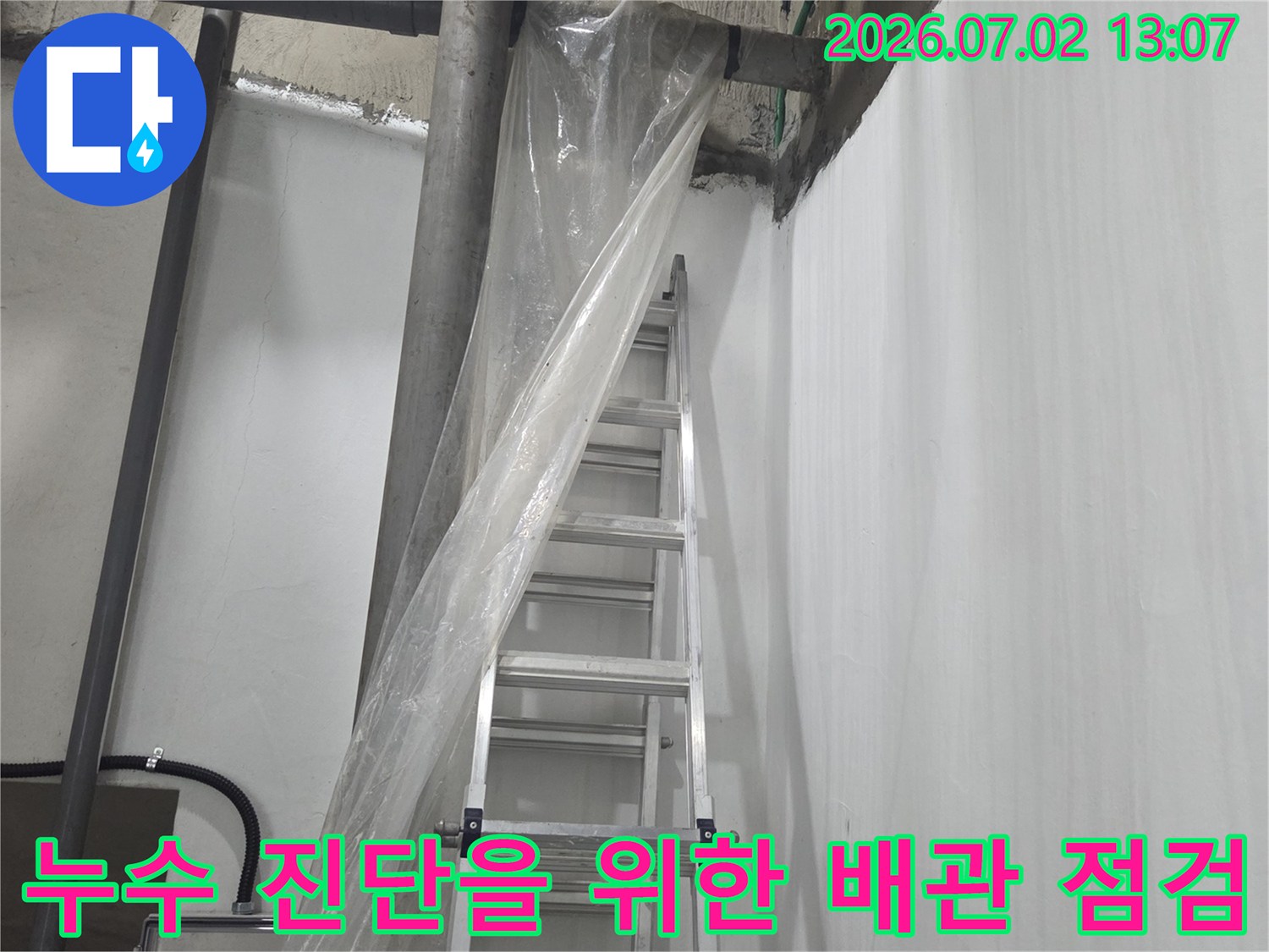 복잡한 지하 천장 배관들과 누수 탐지를 위해 준비된 사다리가 놓인 모습