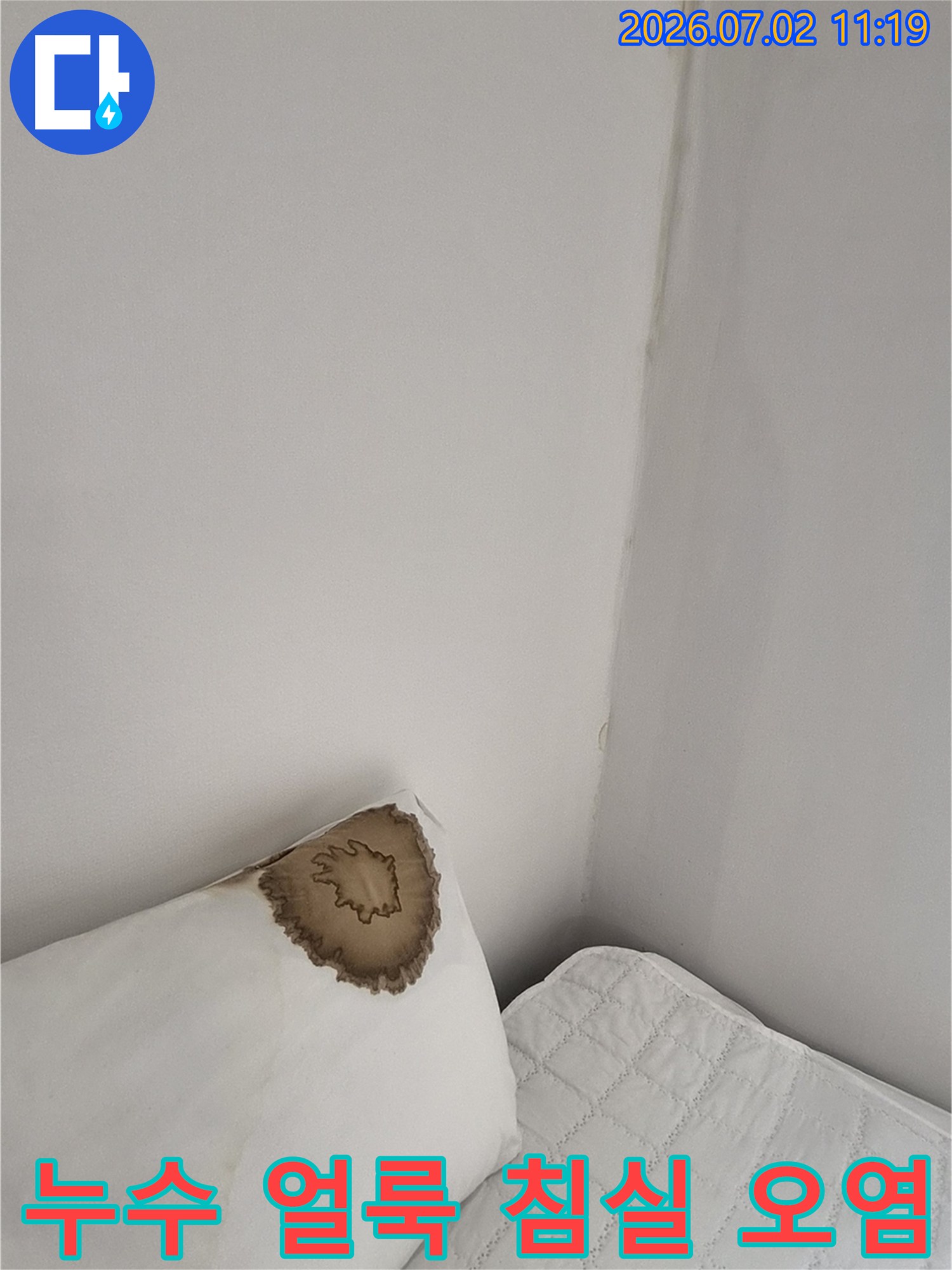 침실-누수-문제로-베개에-물이-스며들어-오염된-상황