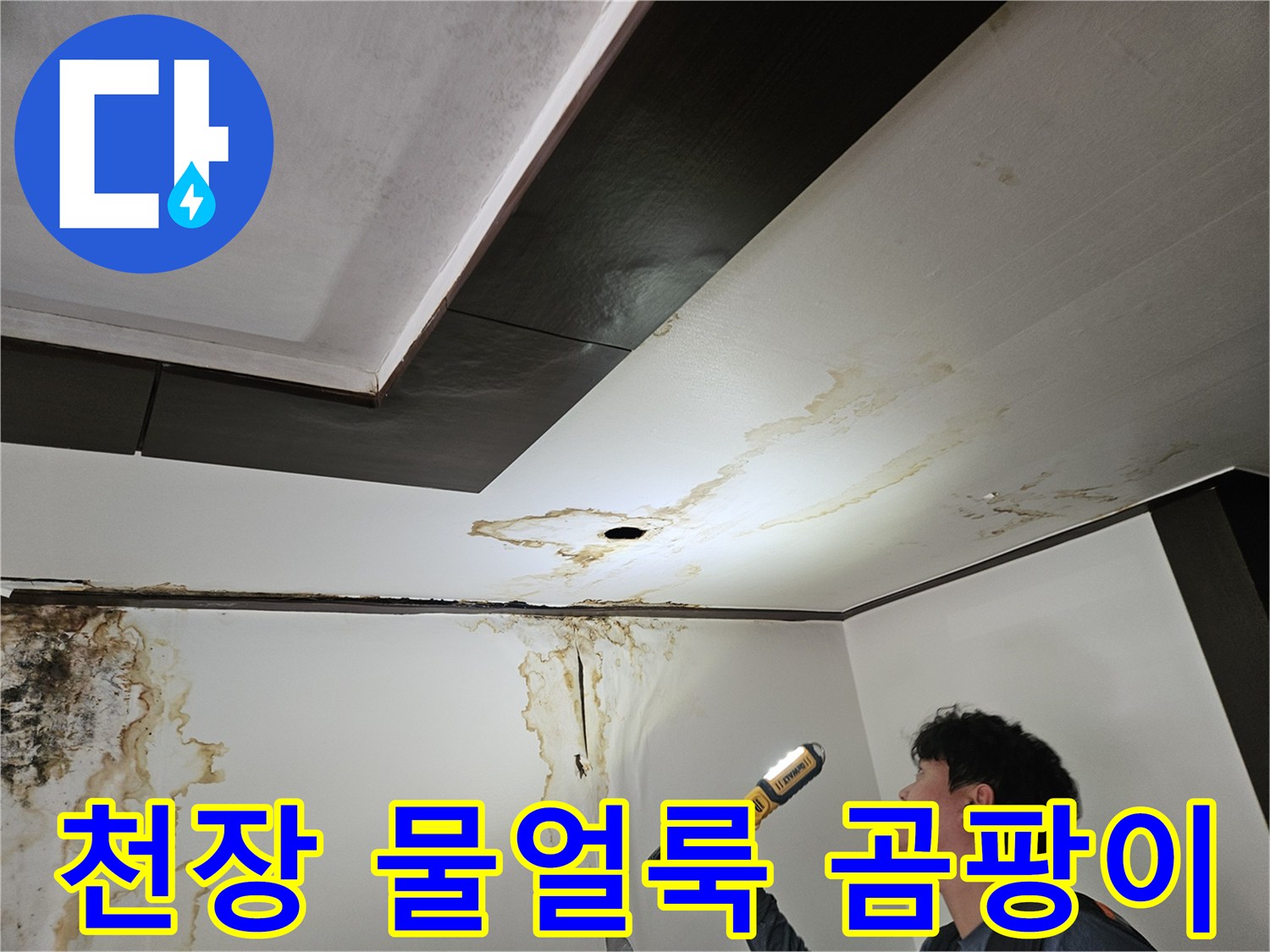 성북구 정릉동-아래층 천장 벽면의 물 얼룩과 곰팡이 상태