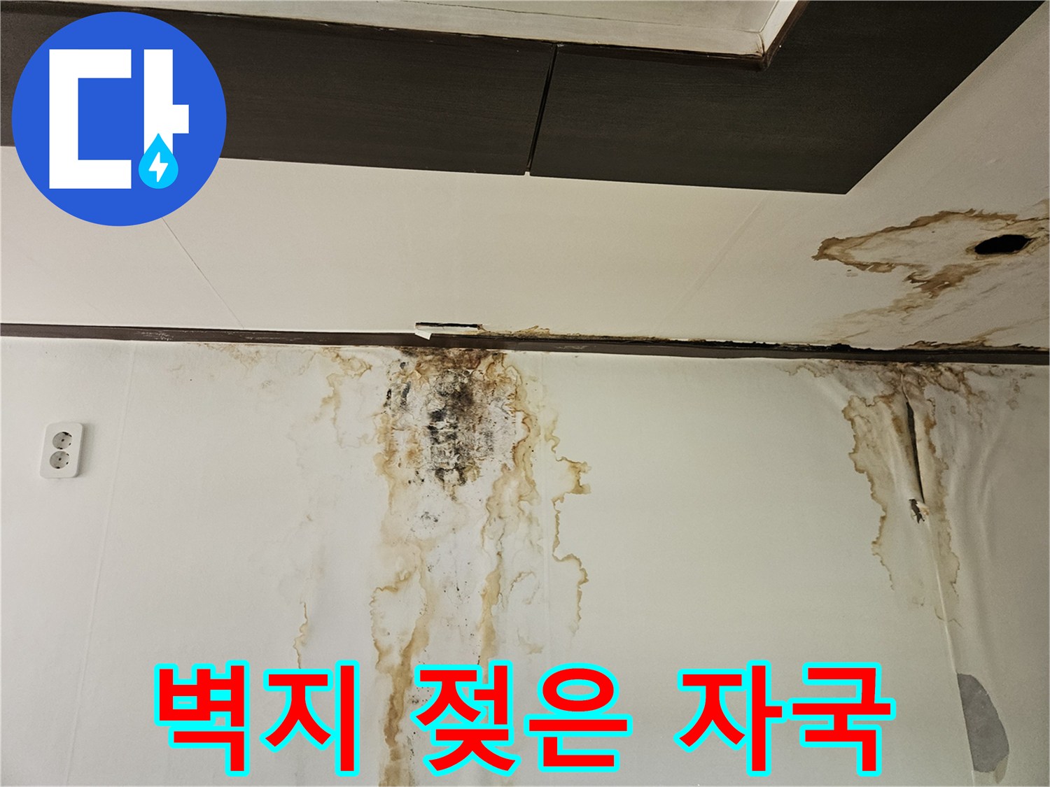 아래층 천장 접합부와 벽면에 번진 갈색 누수 흔적과 곰팡이