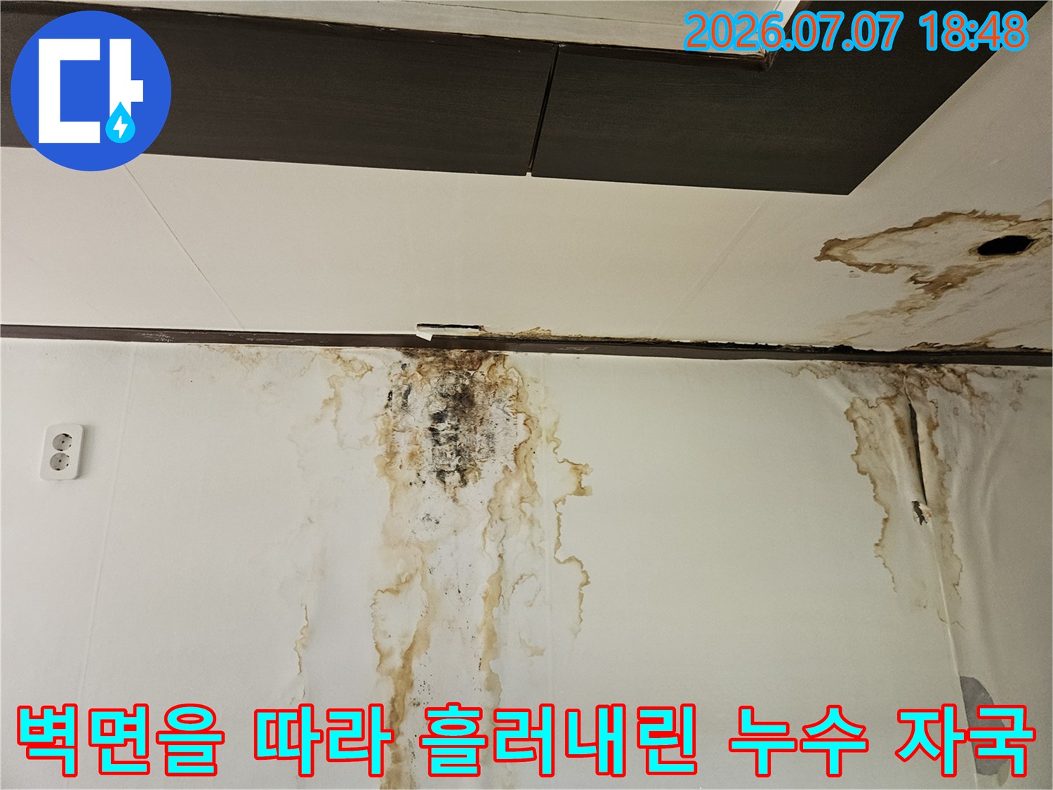 천장과 벽면의 경계 부위에 발생한 곰팡이와 변색된 자국