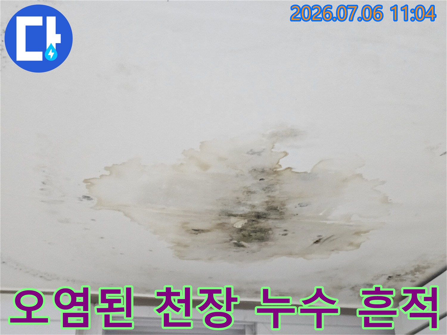 곰팡이와 물자국으로 오염된 지하층 천장면