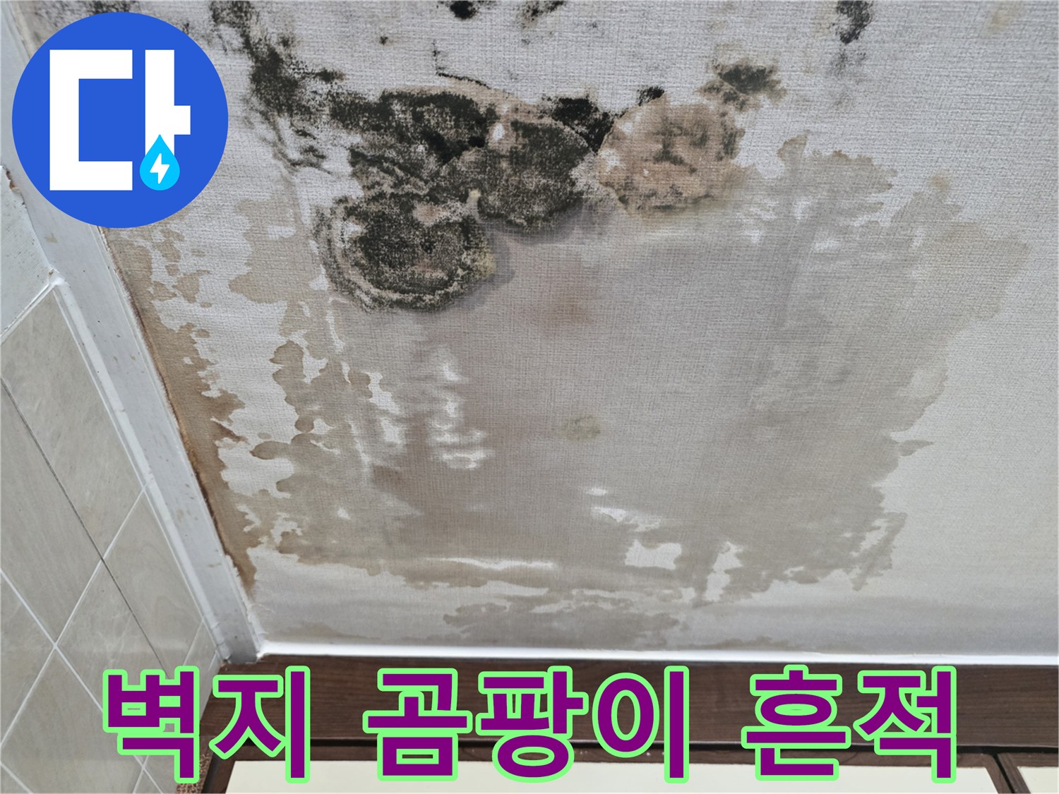 천장-벽지가-젖어서-생긴-검은색-곰팡이-얼룩