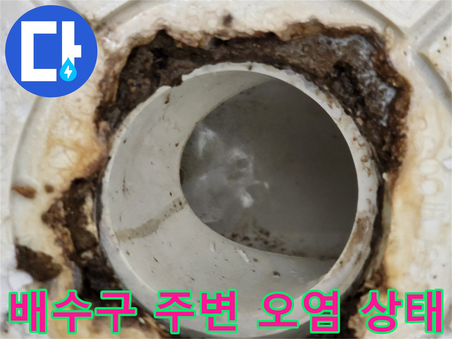 화장실-배수구-주변에-이물질과-오염이-심한-상태입니다